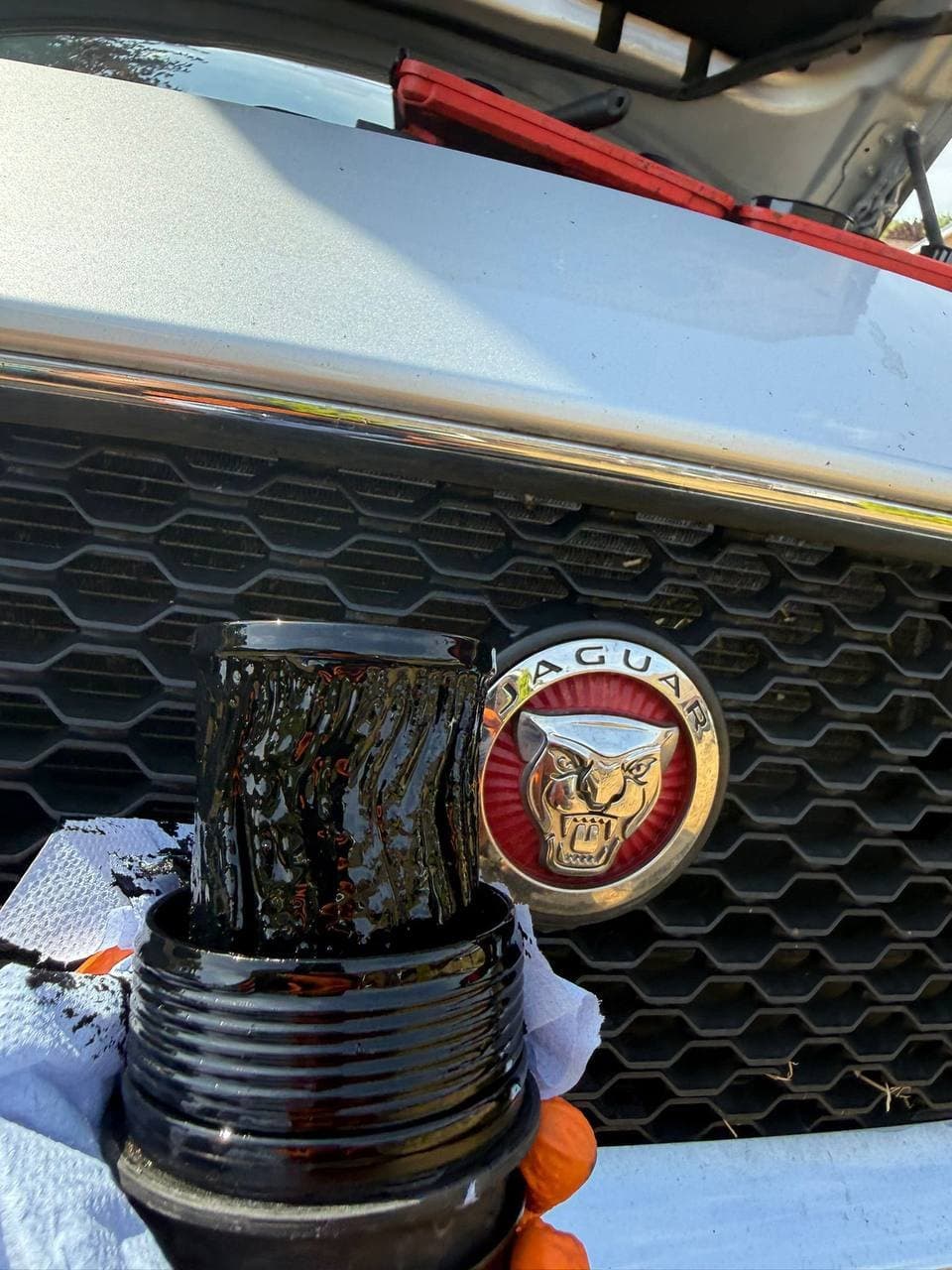 An oil filter housing full of old oil, held in front of a Jaguar grille